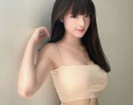 企业介绍用途